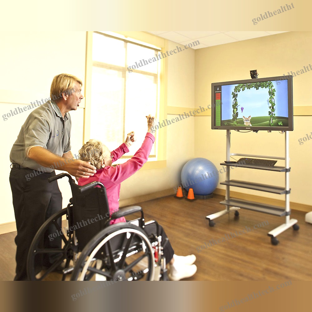 Balance Rehabilitation System