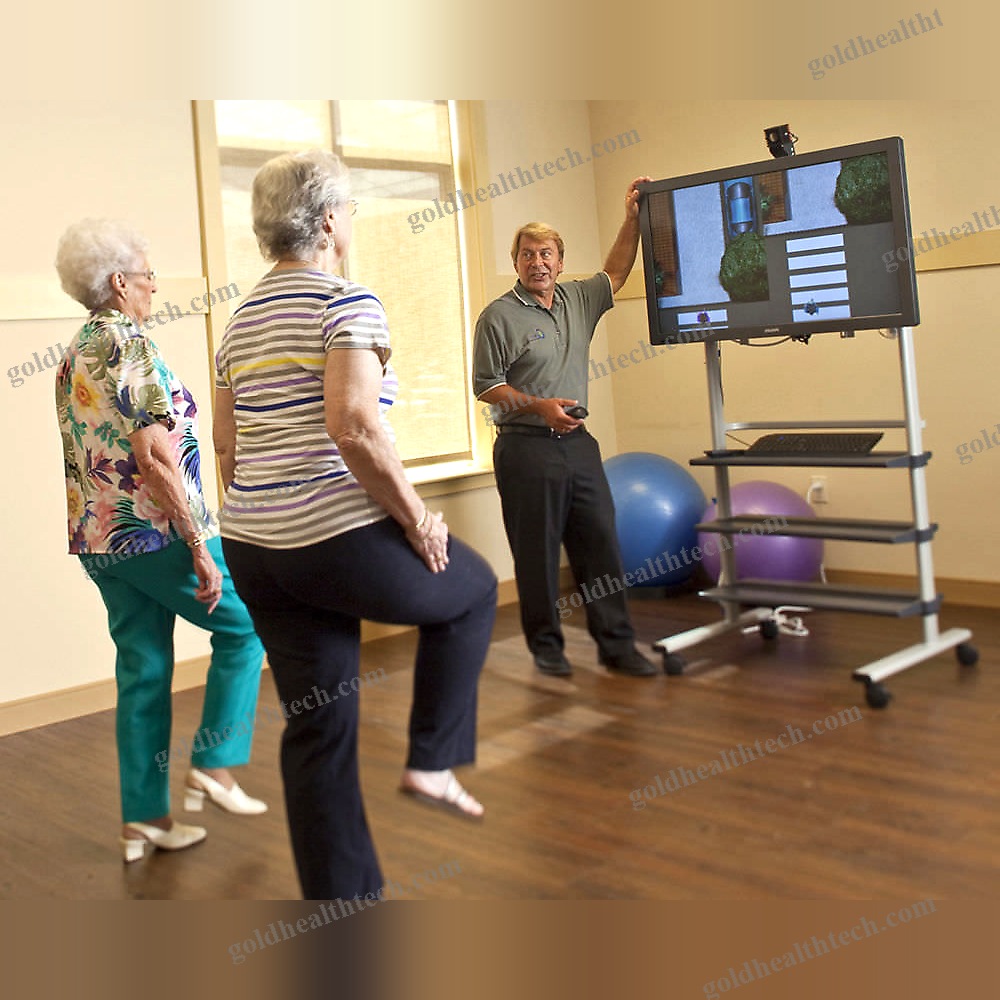 Balance Rehabilitation System