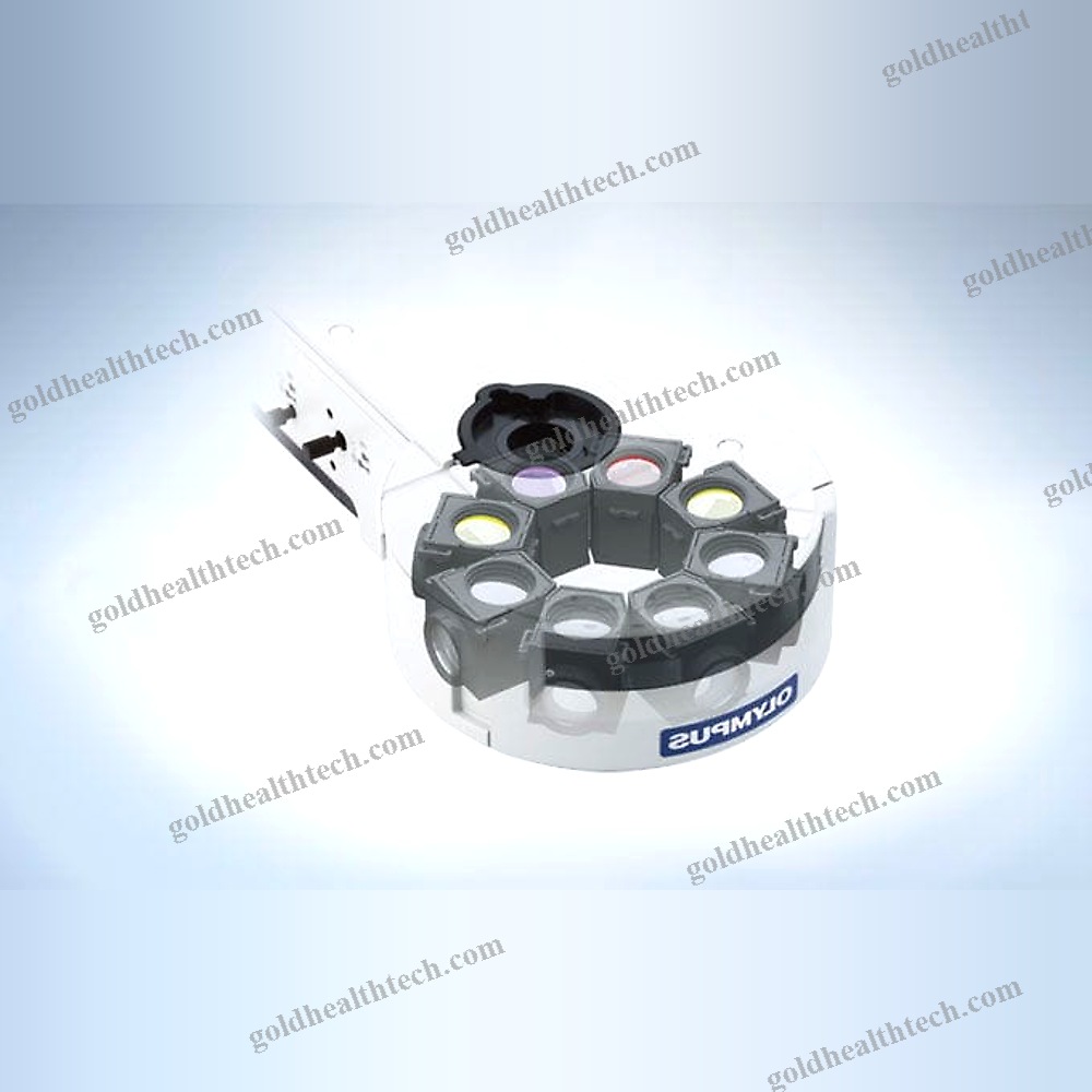 Upright Microscope