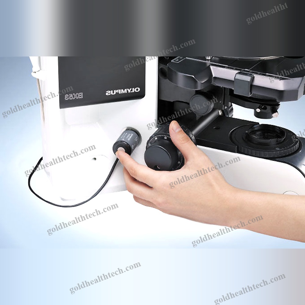 Upright Microscope