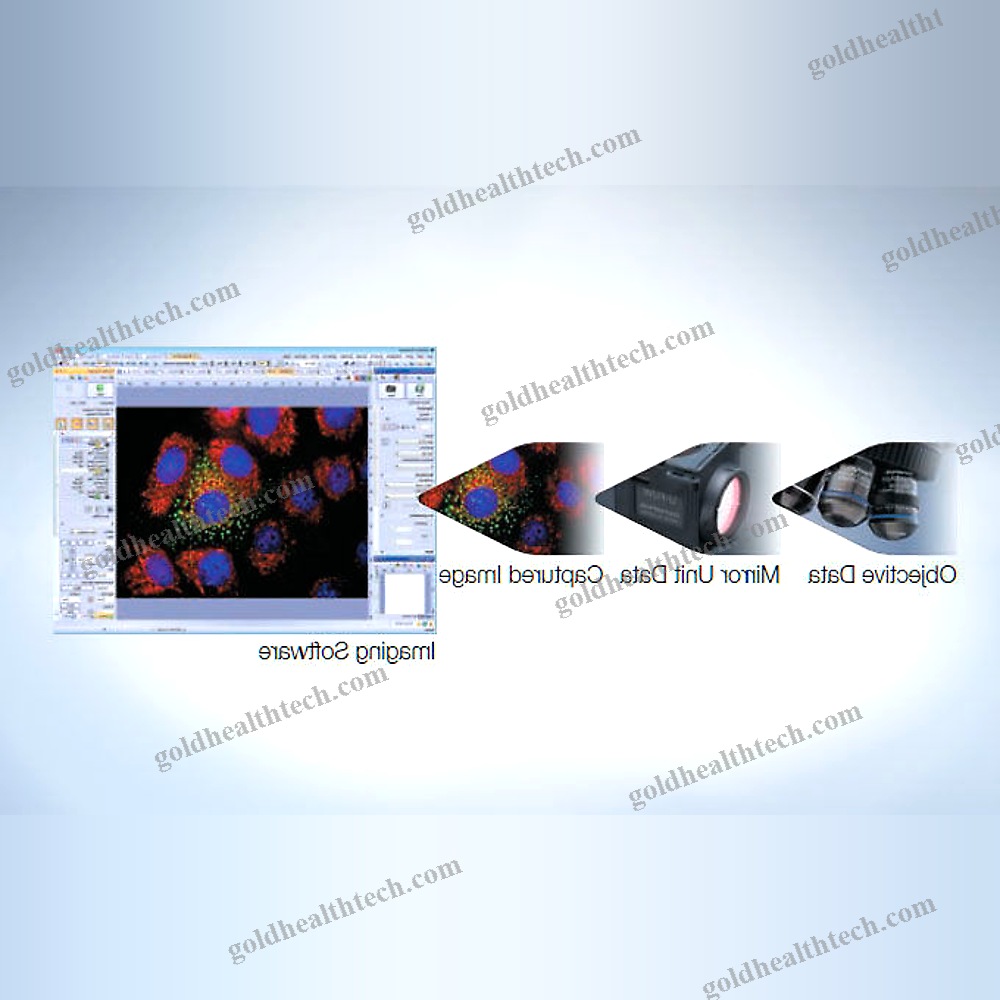 Upright Microscope