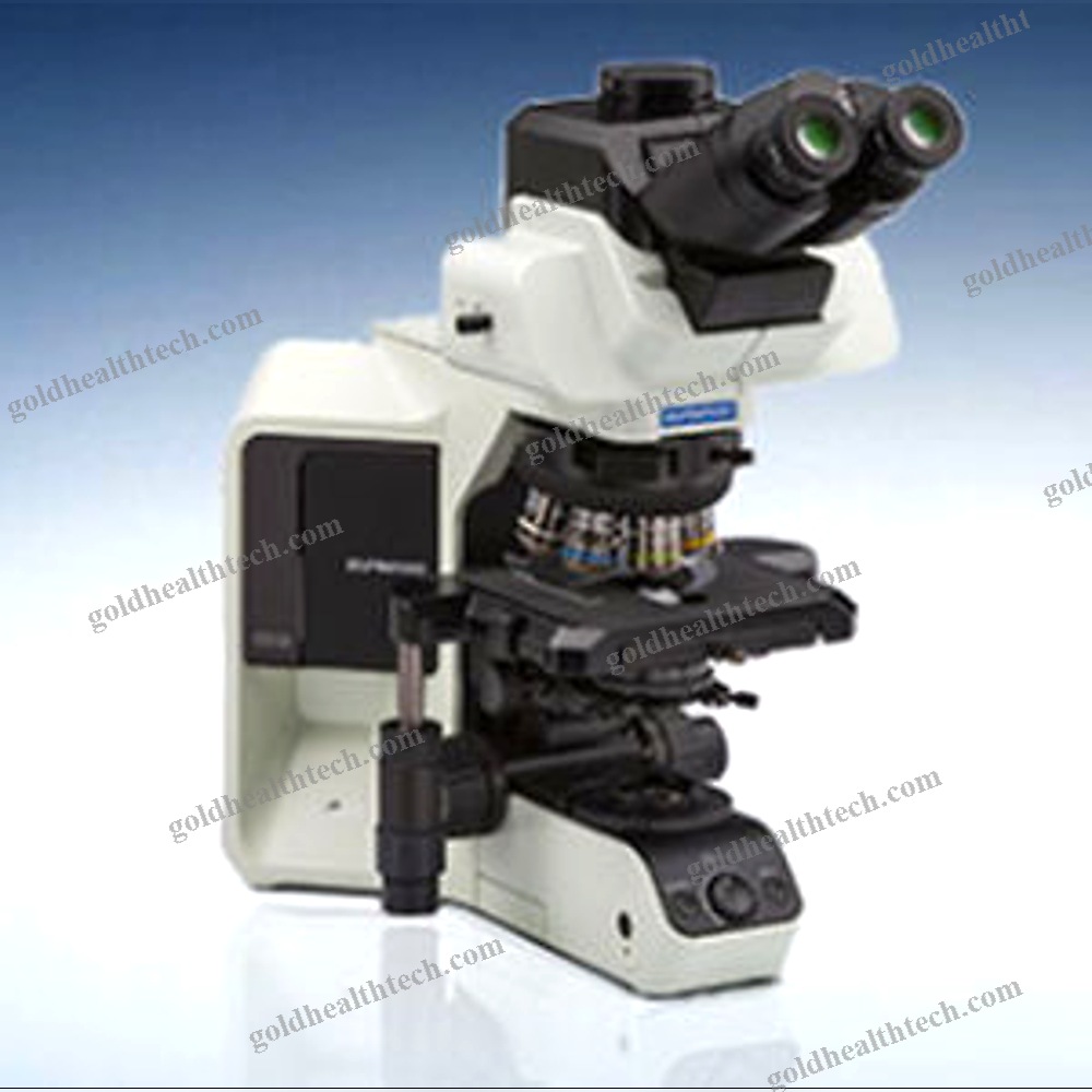 Upright Microscope