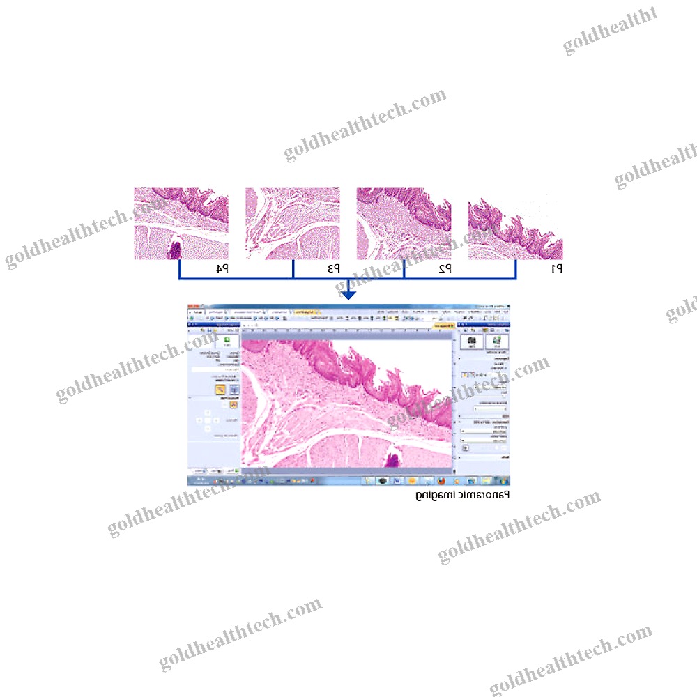 Inverted Microscope
