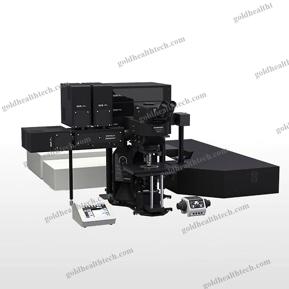 Multiphoton Laser Scanning Microscope