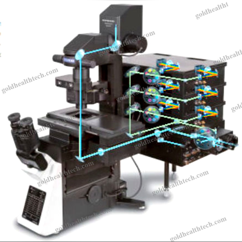 Confocal Laser Scanning Microscope