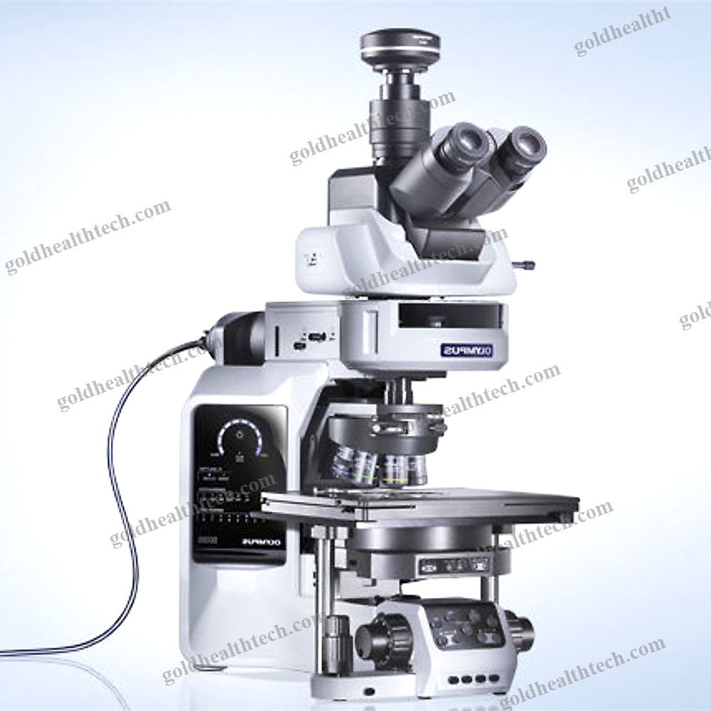 Upright Microscope