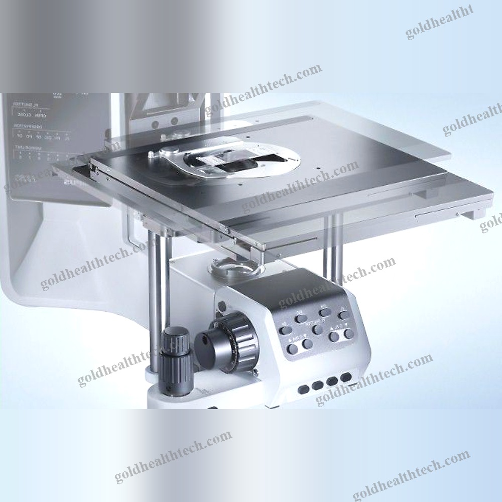 Upright Microscope
