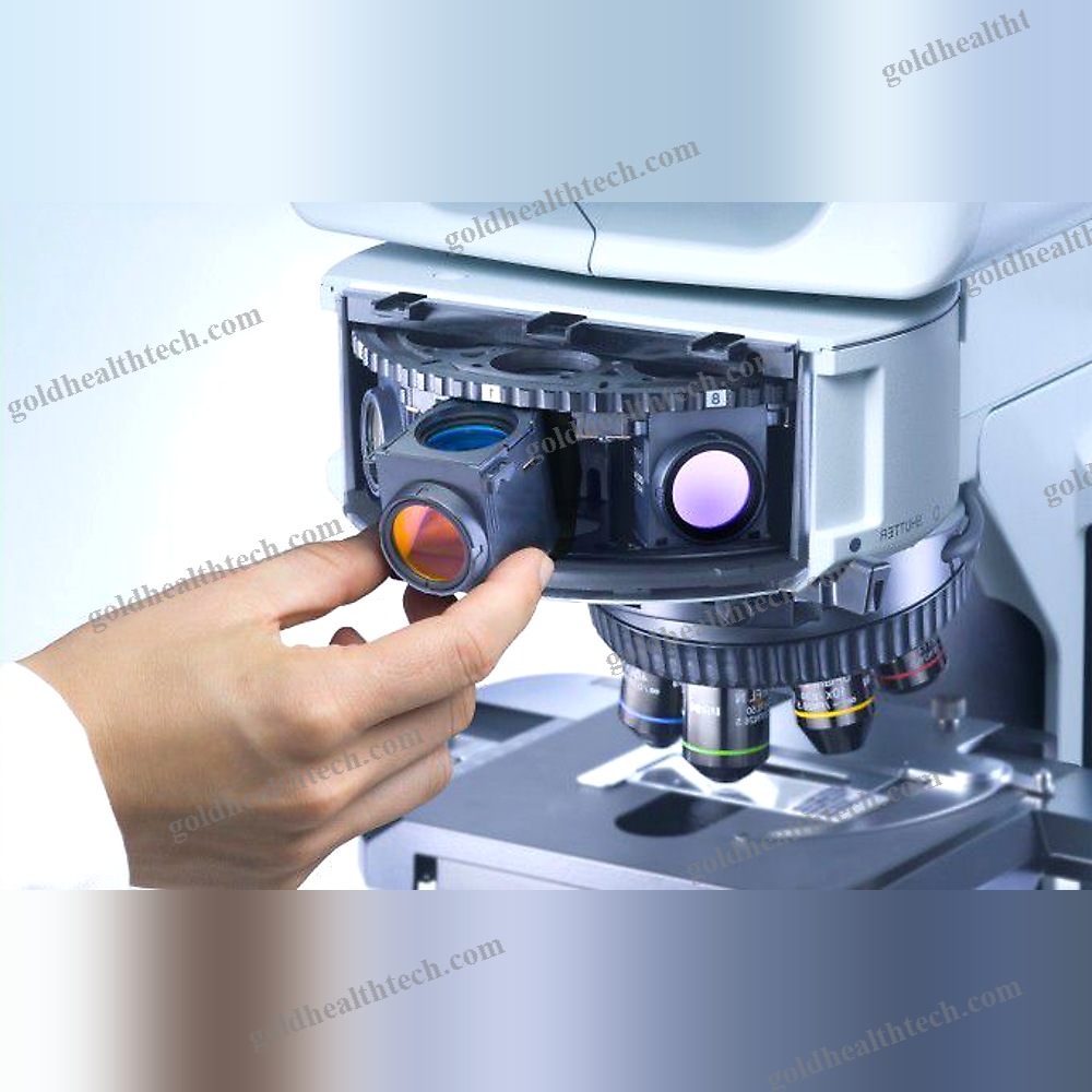Upright Microscope