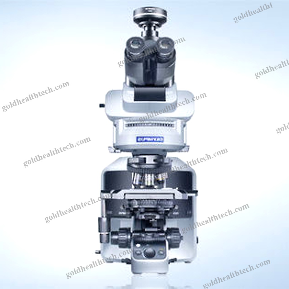 Upright Microscope