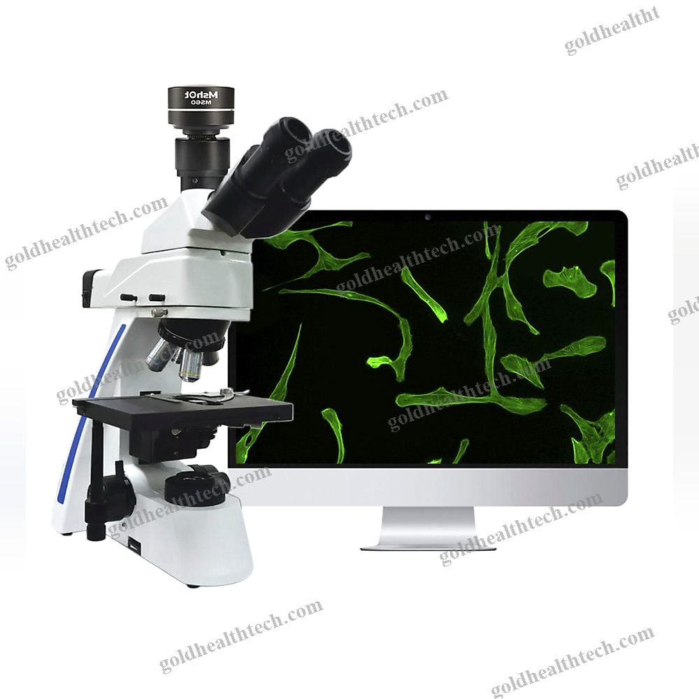 Microscope Light Source