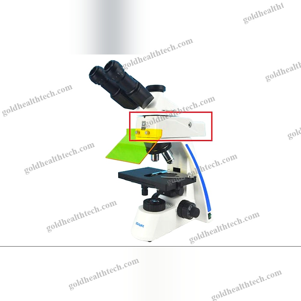 Microscope Light Source