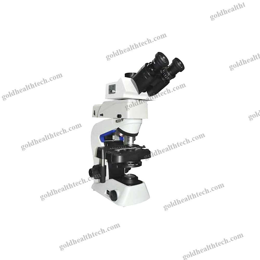 Fluorescence Microscope