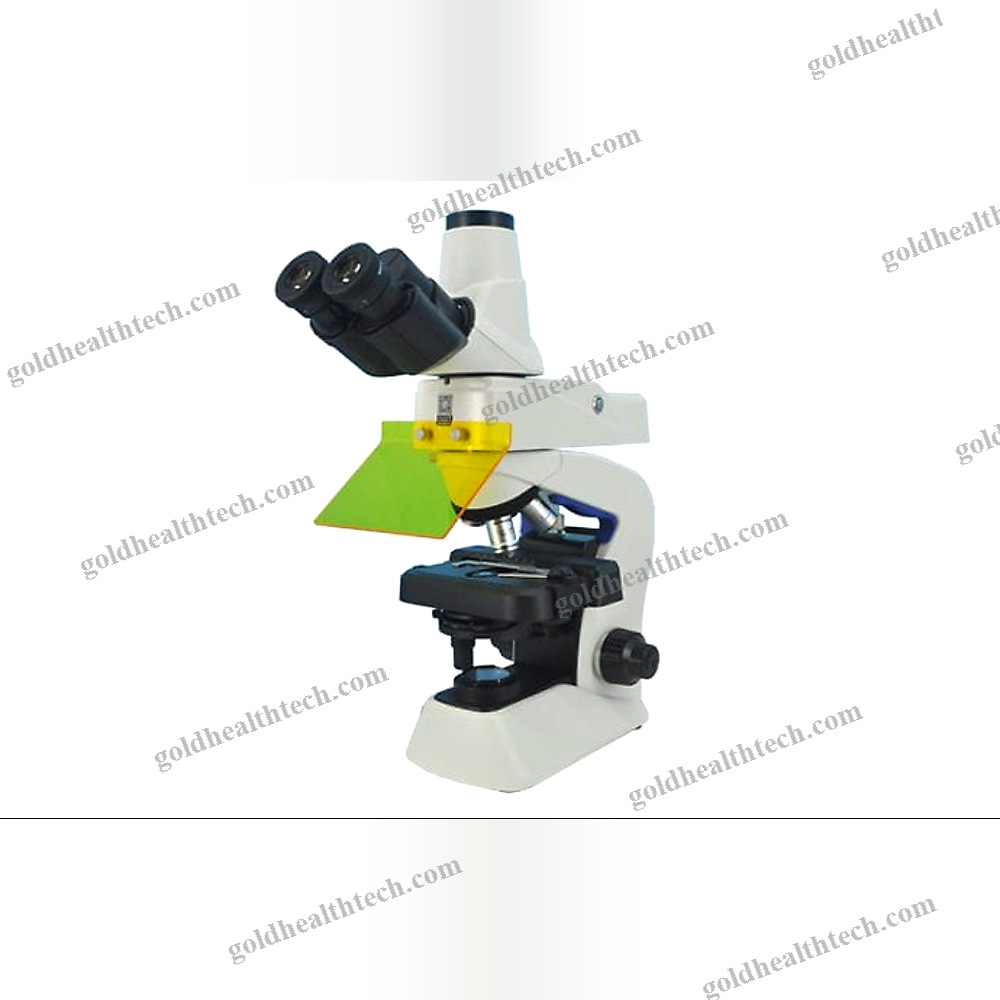 Fluorescence Microscope