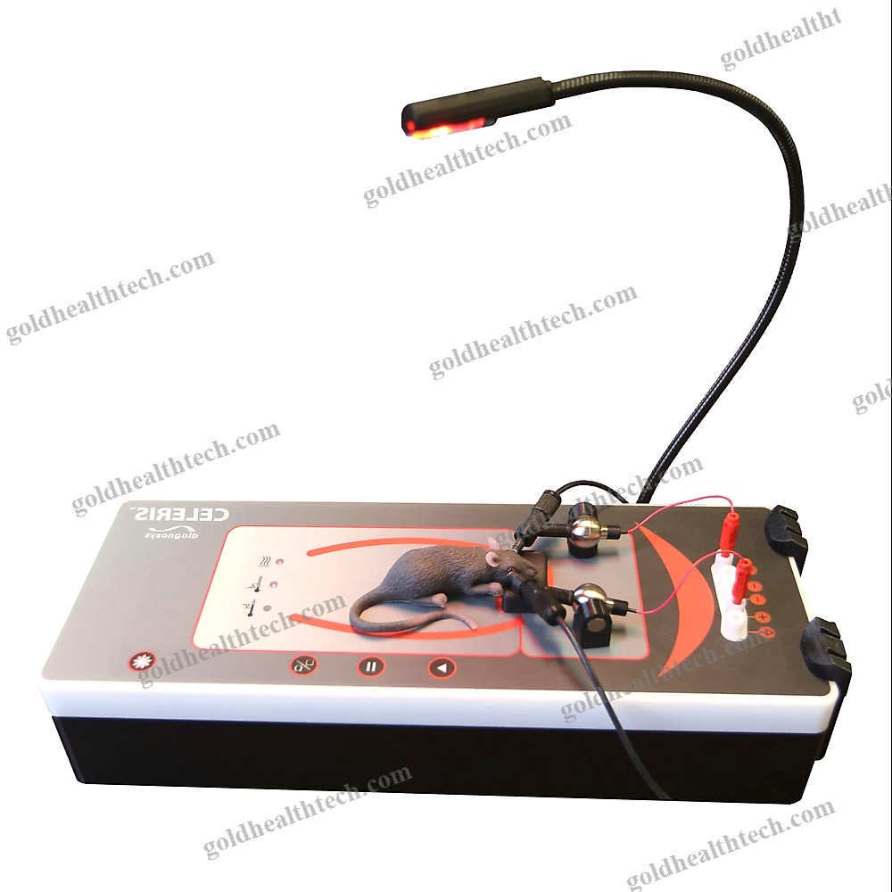Electroretinograph With Evoked Potential Monitoring