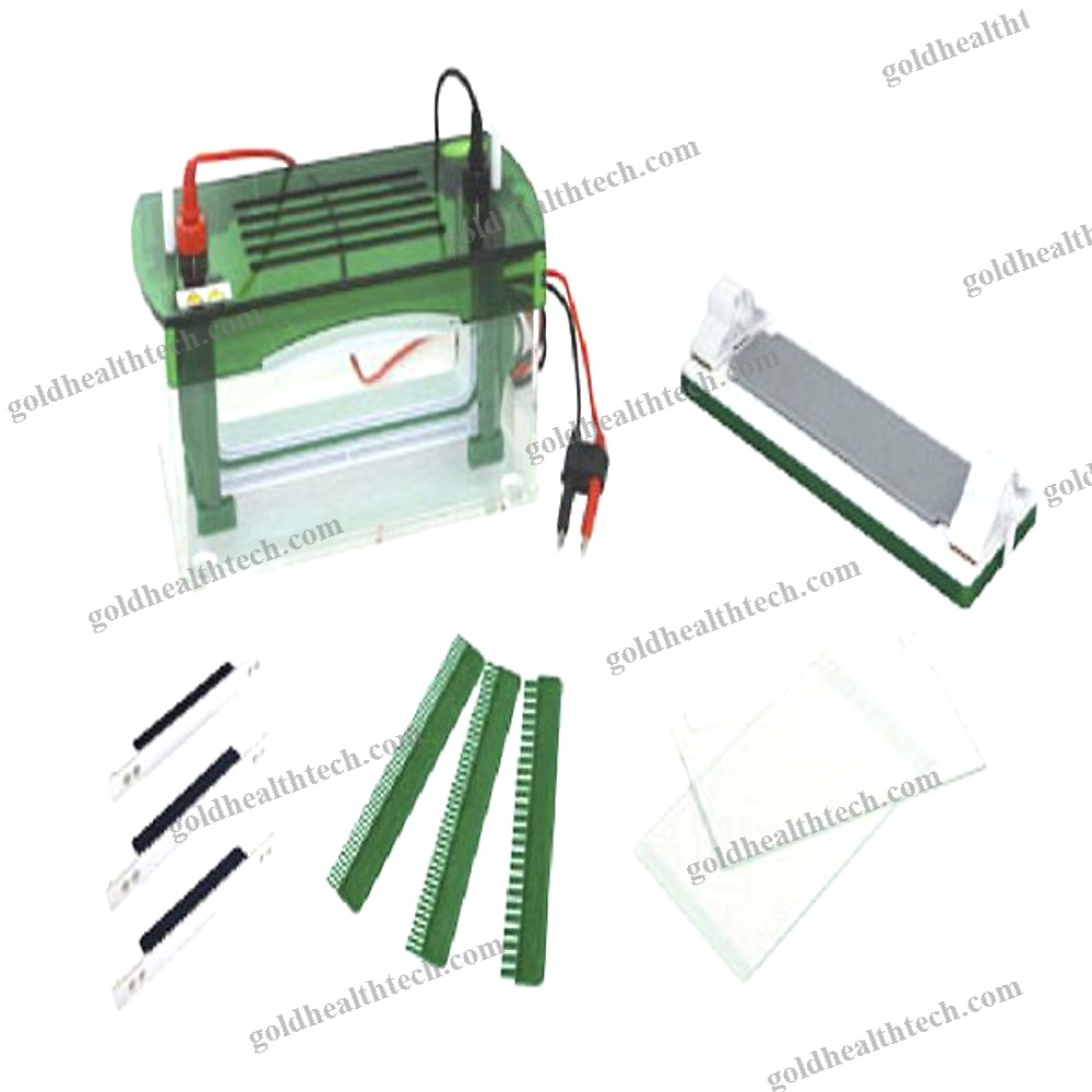 Vertical Electrophoresis Tank
