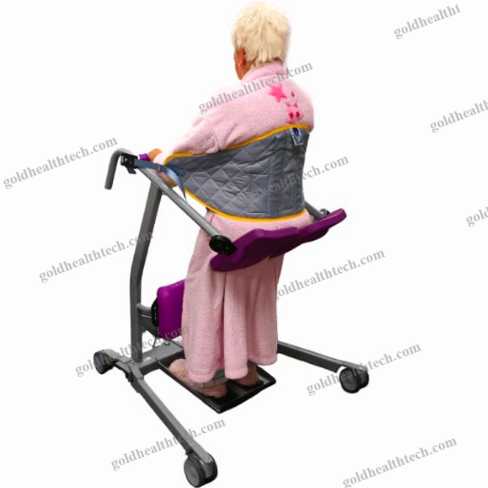 Electric Stander