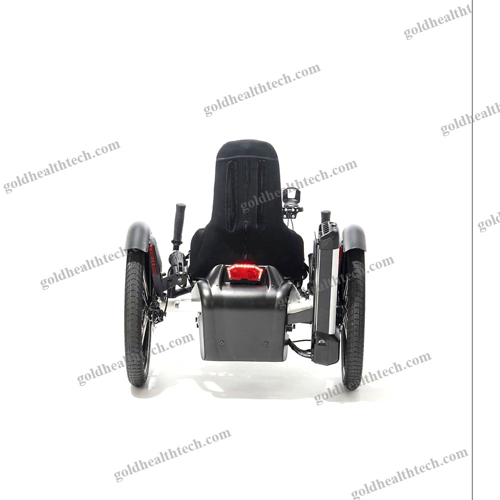 Crank-Propelled Recumbent Trike