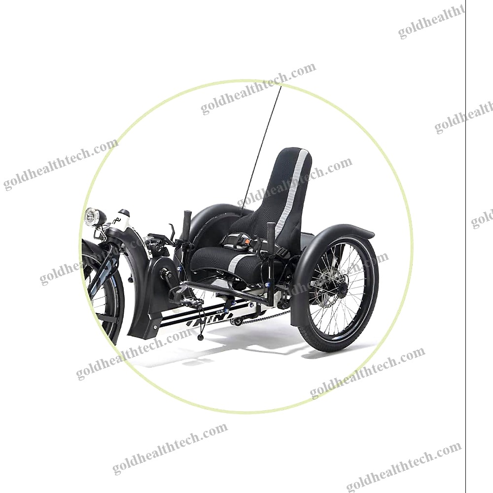 Crank-Propelled Recumbent Trike