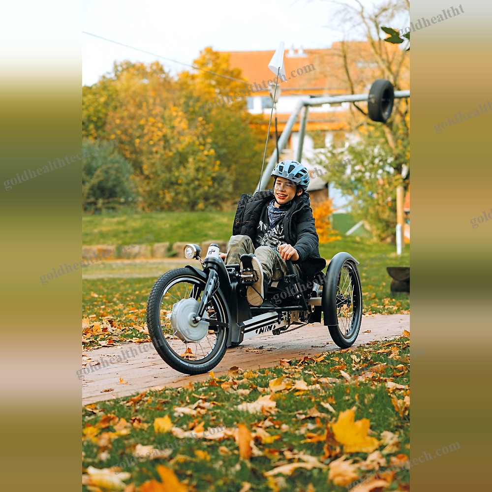 Crank-Propelled Recumbent Trike