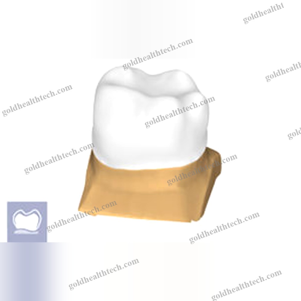 Cad Software