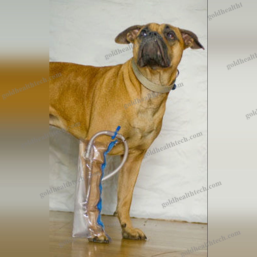 Paw Veterinary Splint