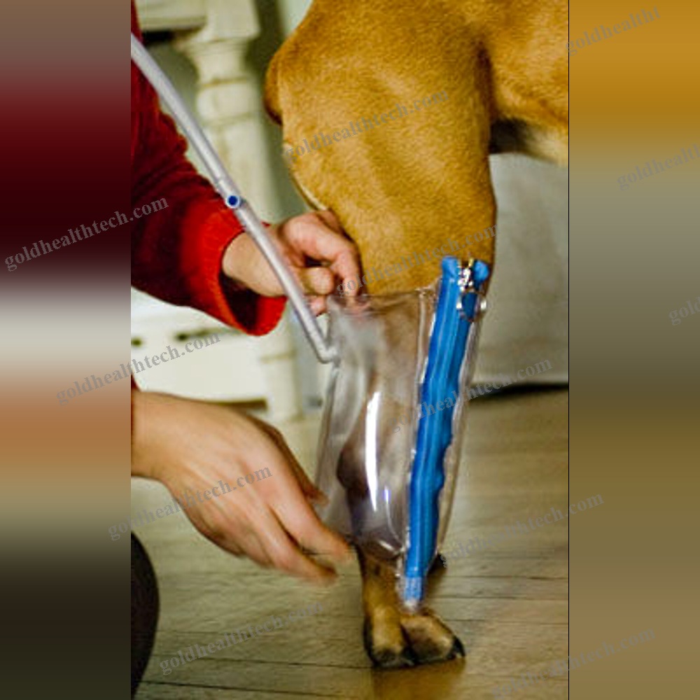 Paw Veterinary Splint