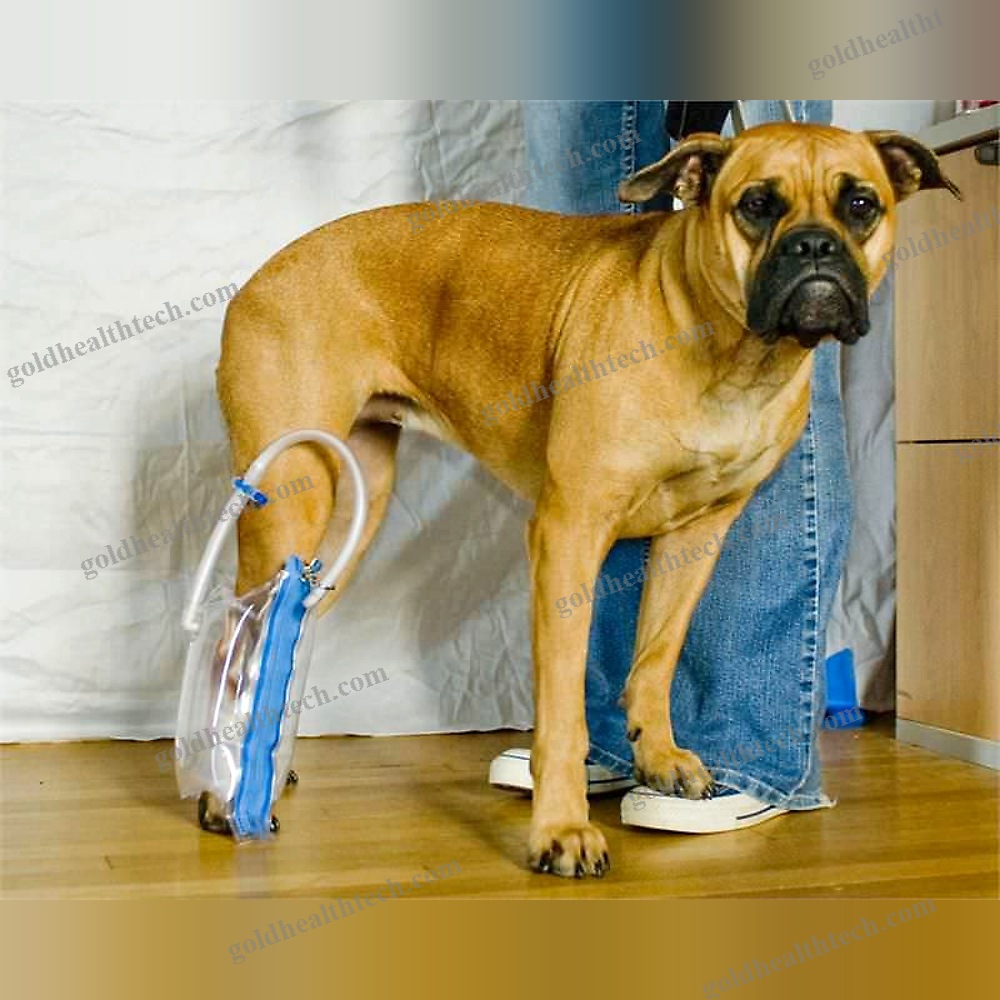 Paw Veterinary Splint