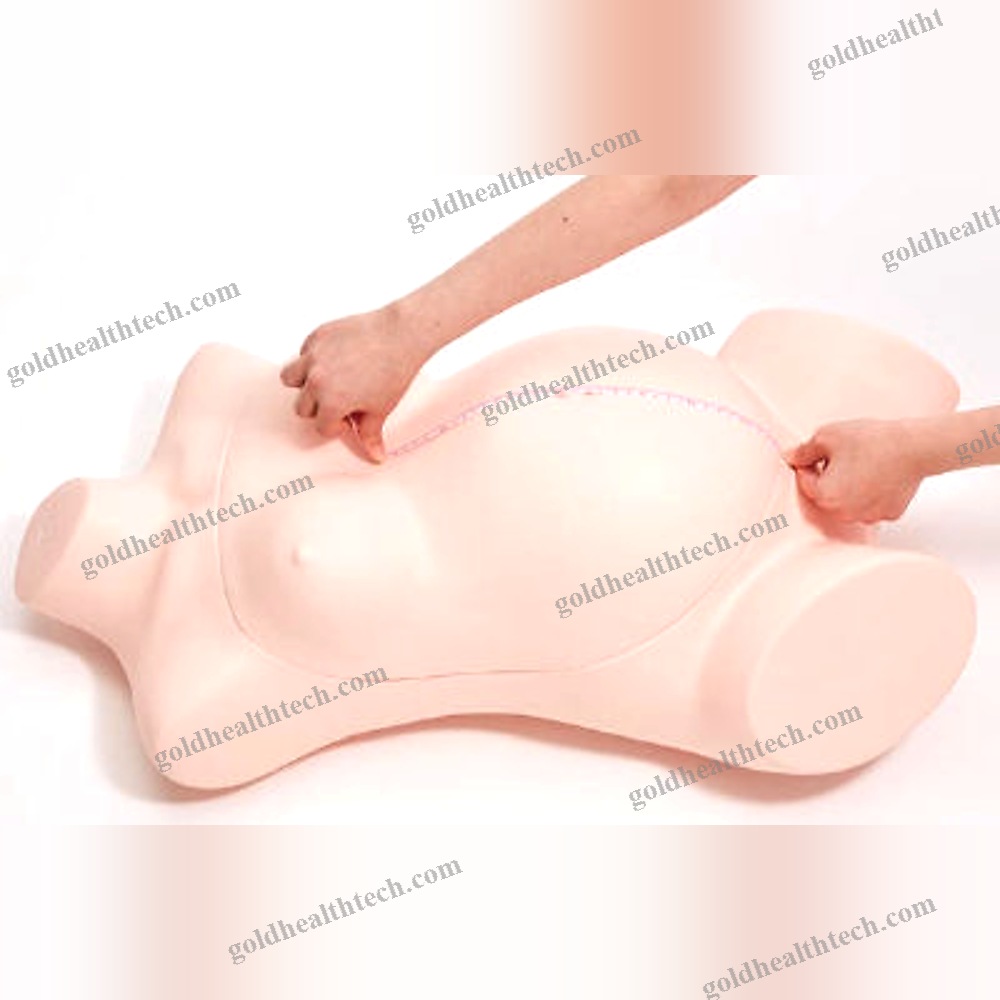 Training Simulator