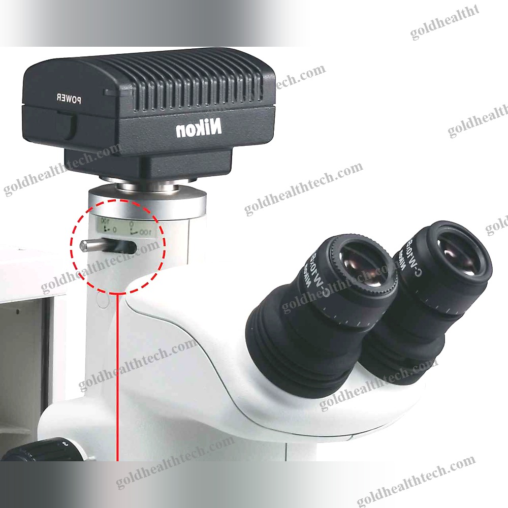 Optical Stereo Microscope