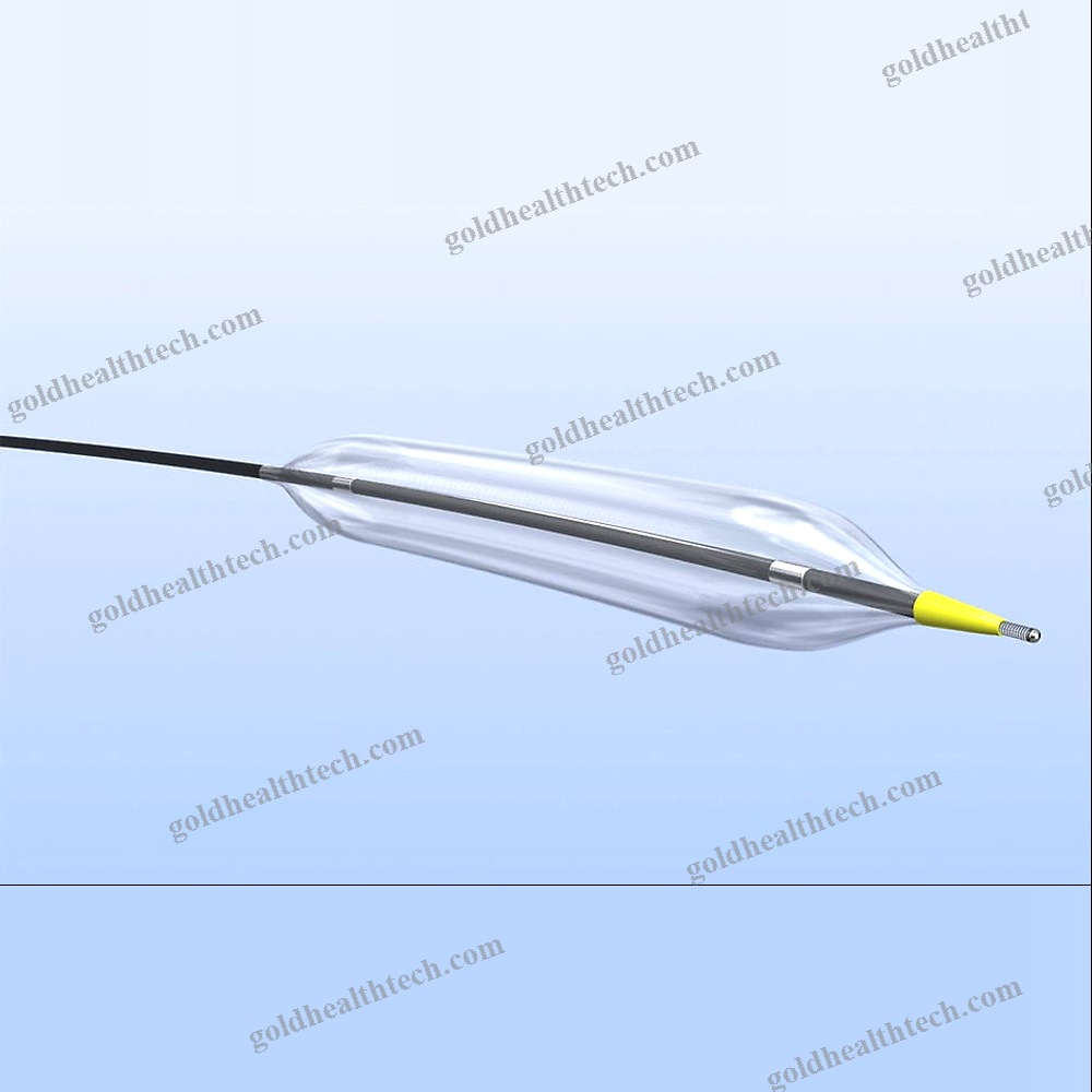 Ptca Catheter