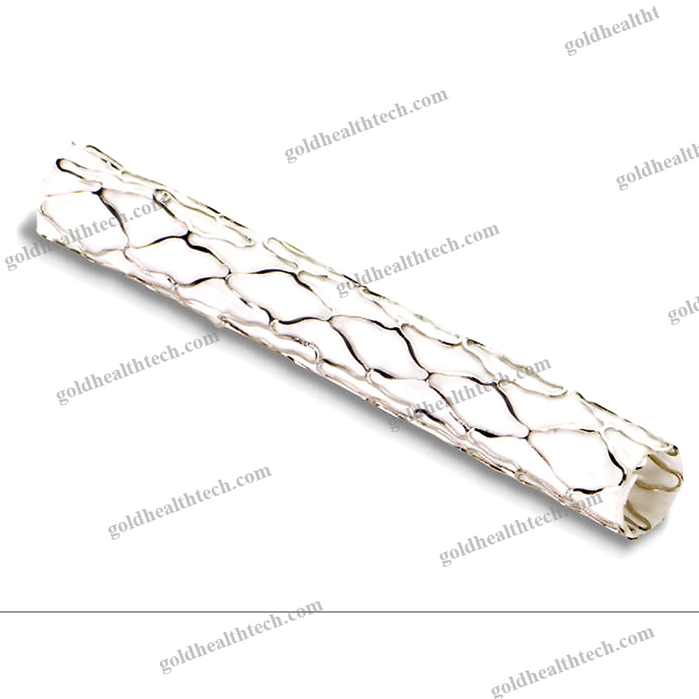 Coronary Arteries Stent Graft