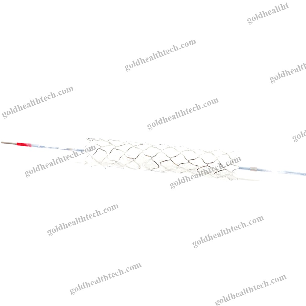 Coronary Arteries Stent Graft