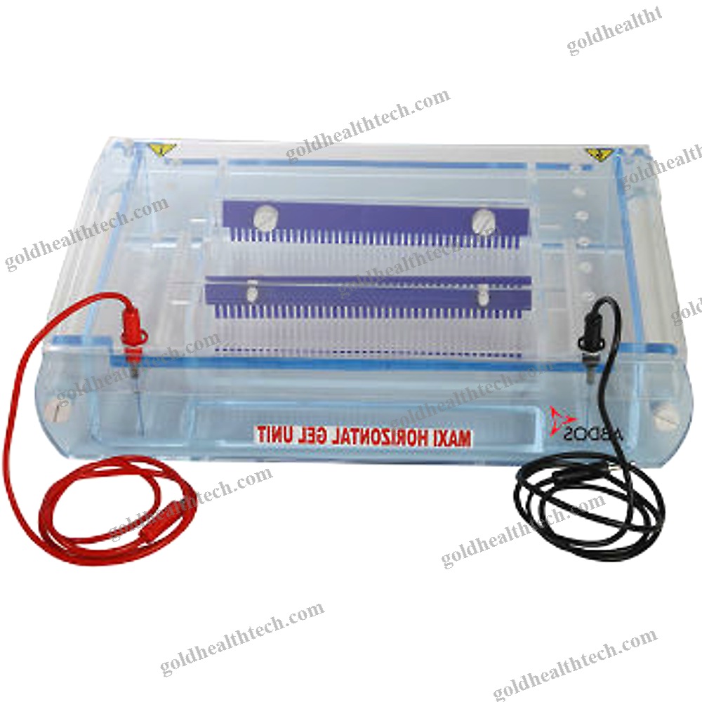 Vertical Electrophoresis Chamber