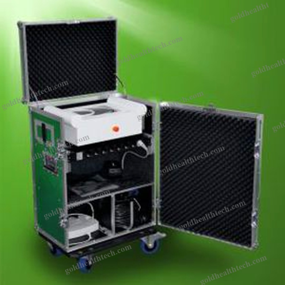 Veterinary Biostimulation Laser