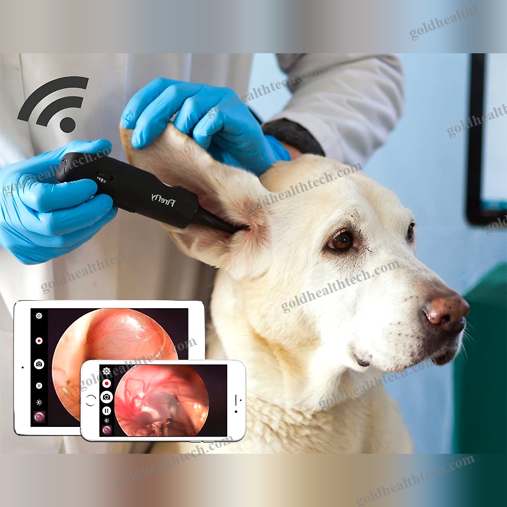 Video Veterinary Otoscope