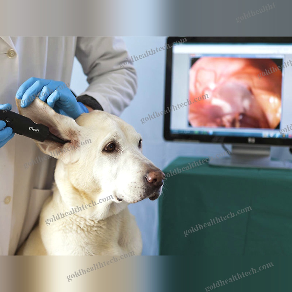 Video Veterinary Otoscope