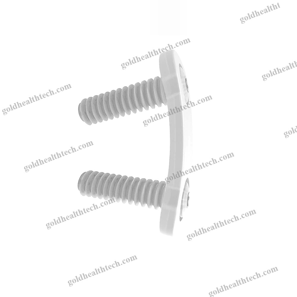 Thoraco-Lumbar Arthrodesis Plate