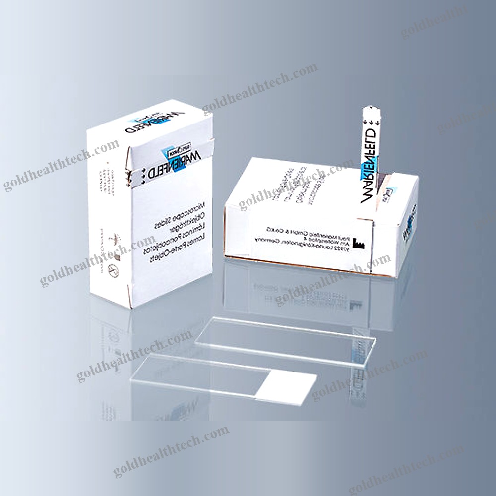 Microscope Slide