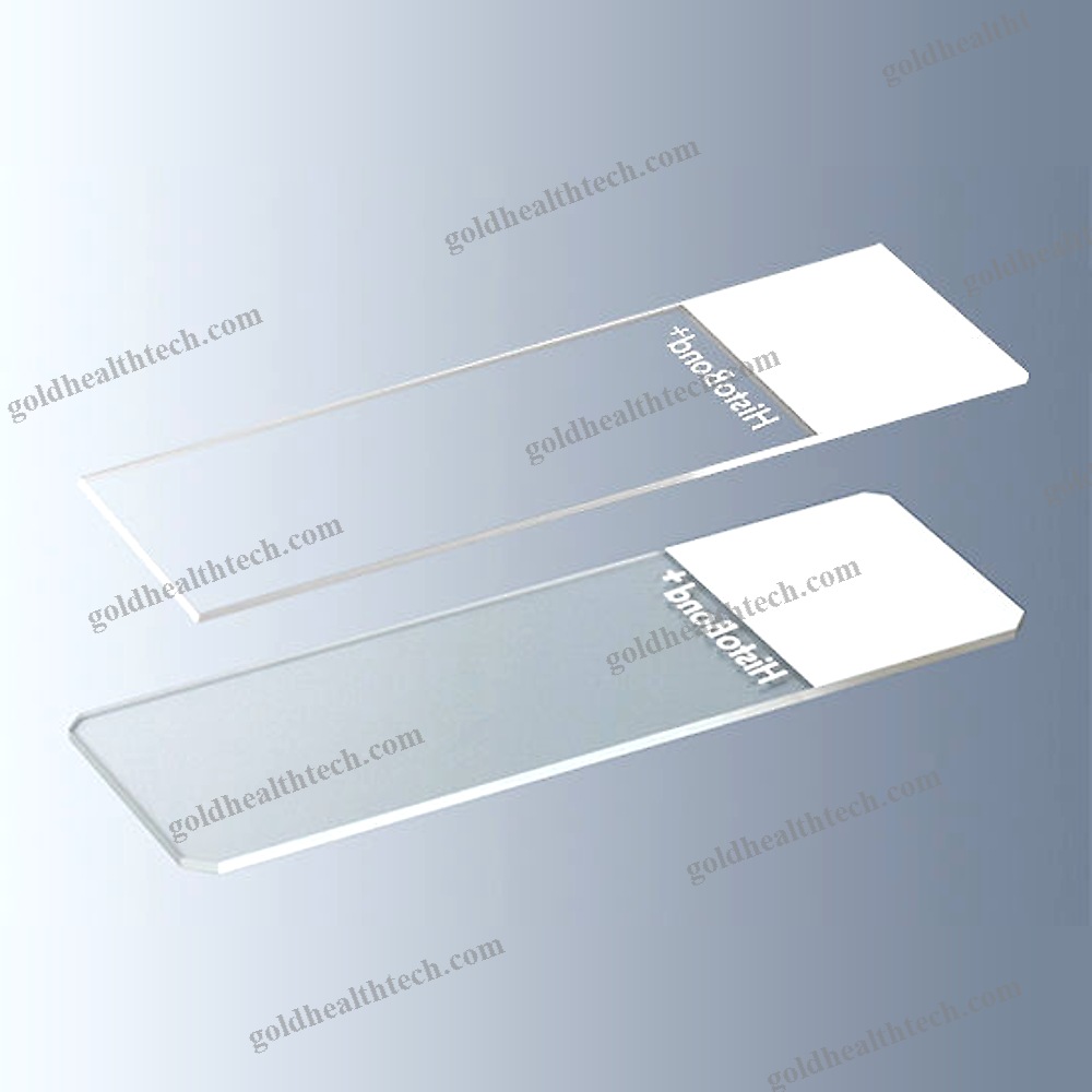 Immunohistochemistry Microscope Slide