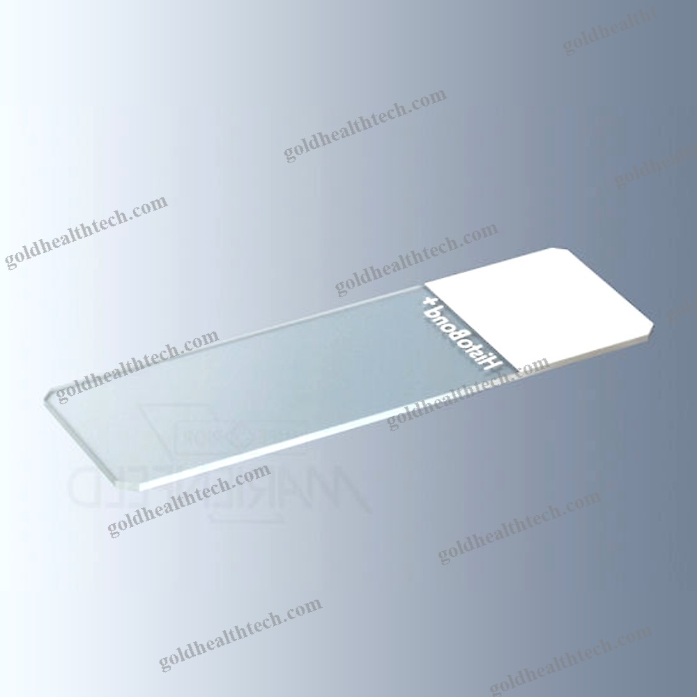 Immunohistochemistry Microscope Slide