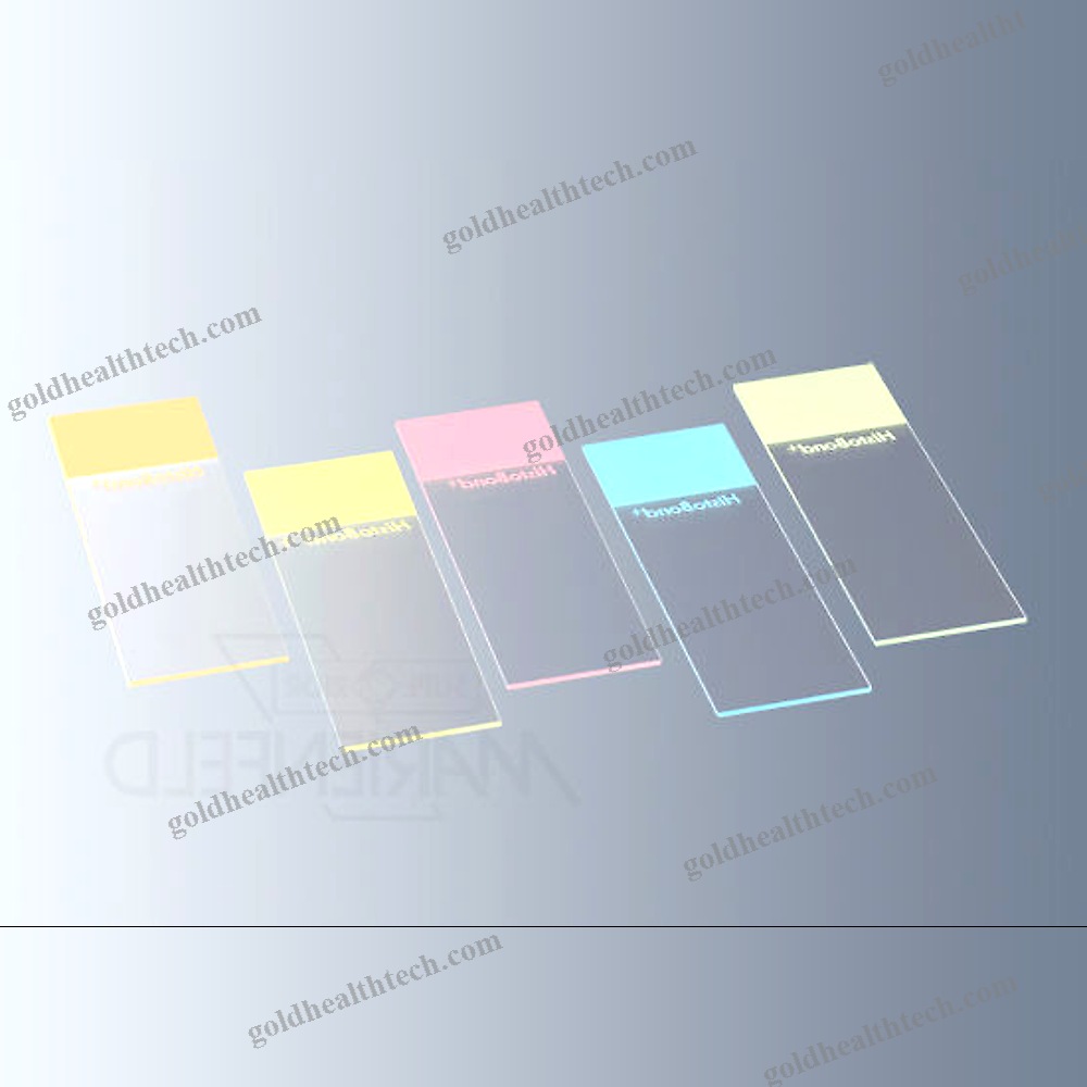 Immunohistochemistry Microscope Slide