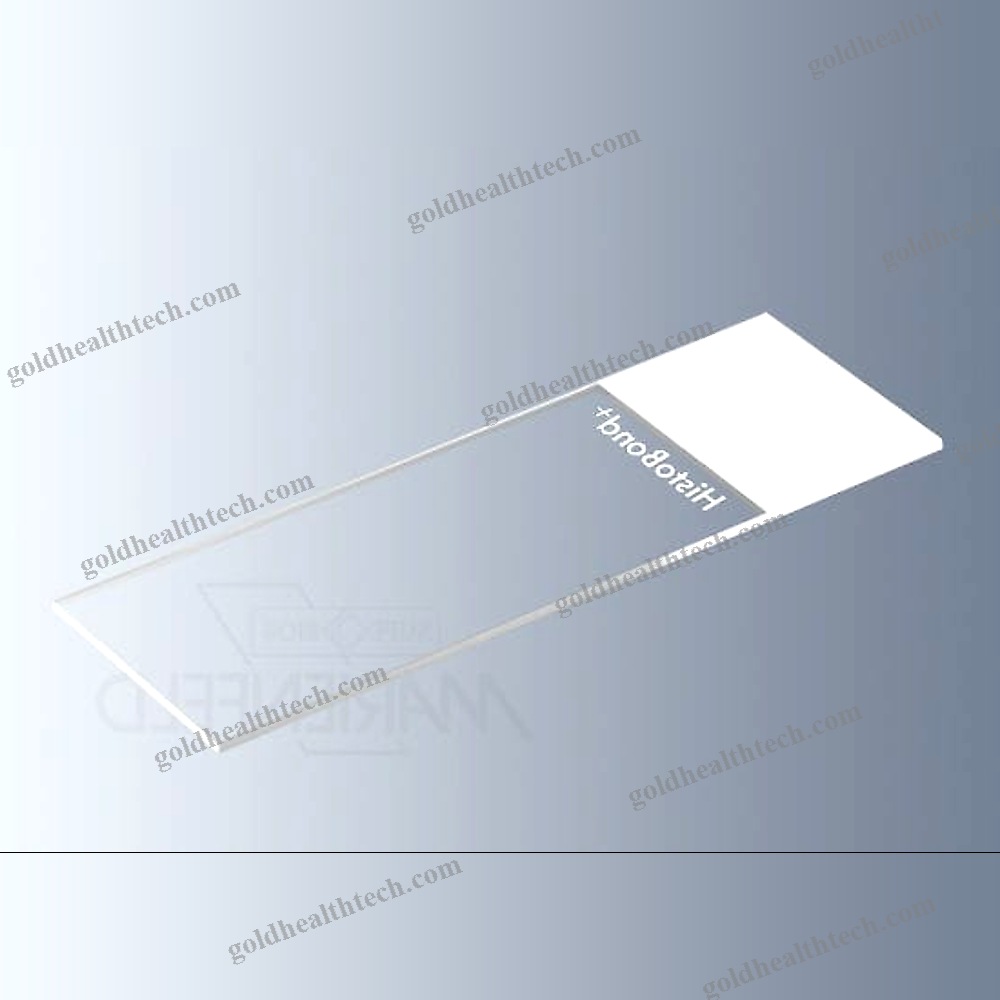 Immunohistochemistry Microscope Slide