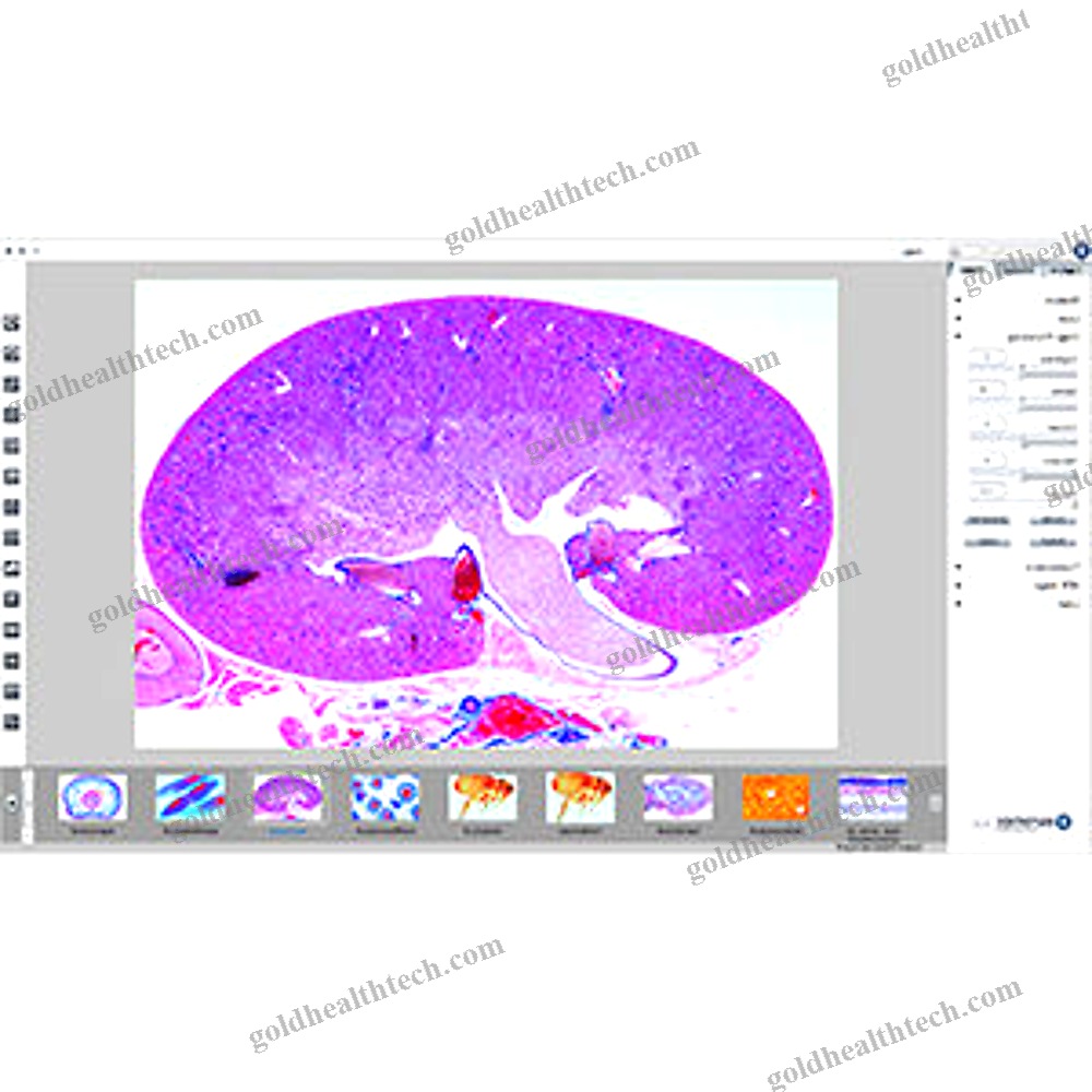 Laboratory Microscope Camera