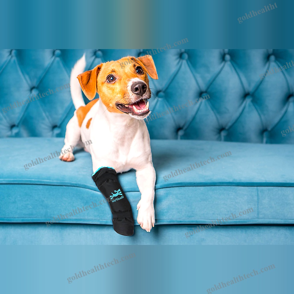 Pet Veterinary Protective Boot