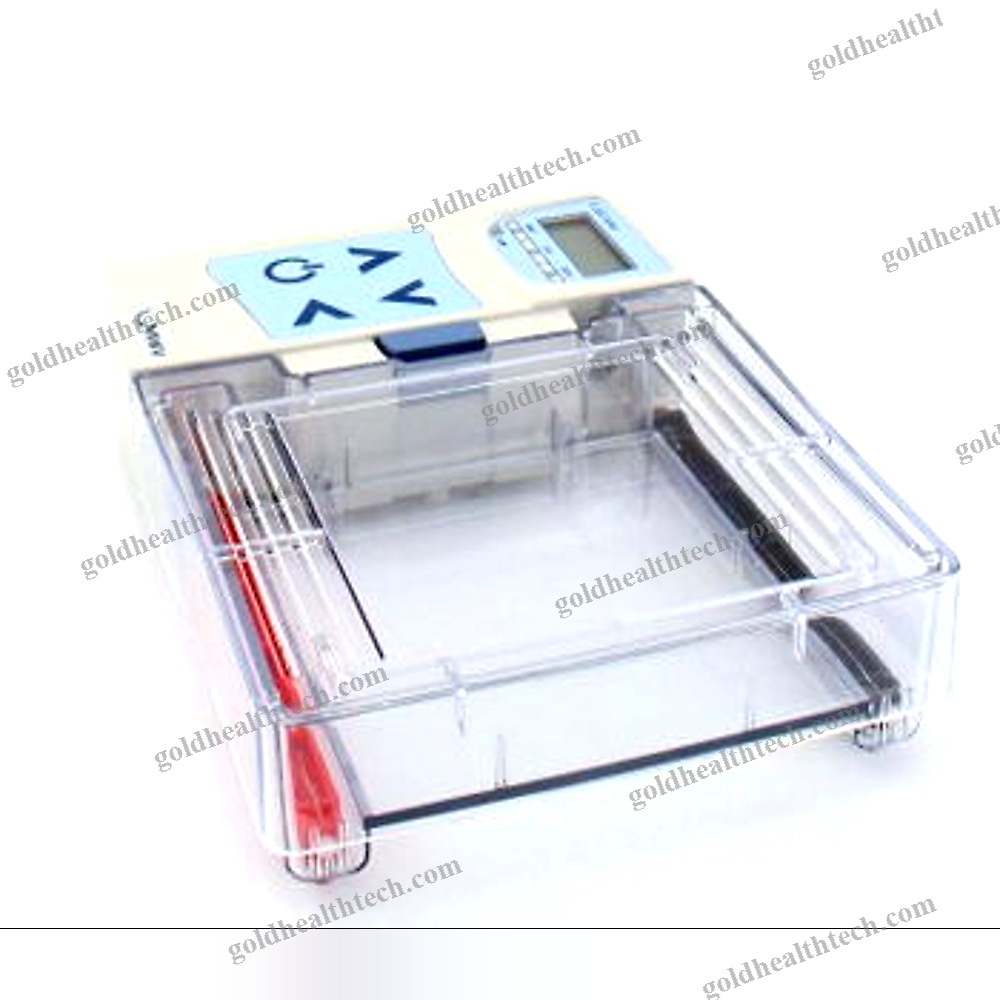 Automatic Electrophoresis System
