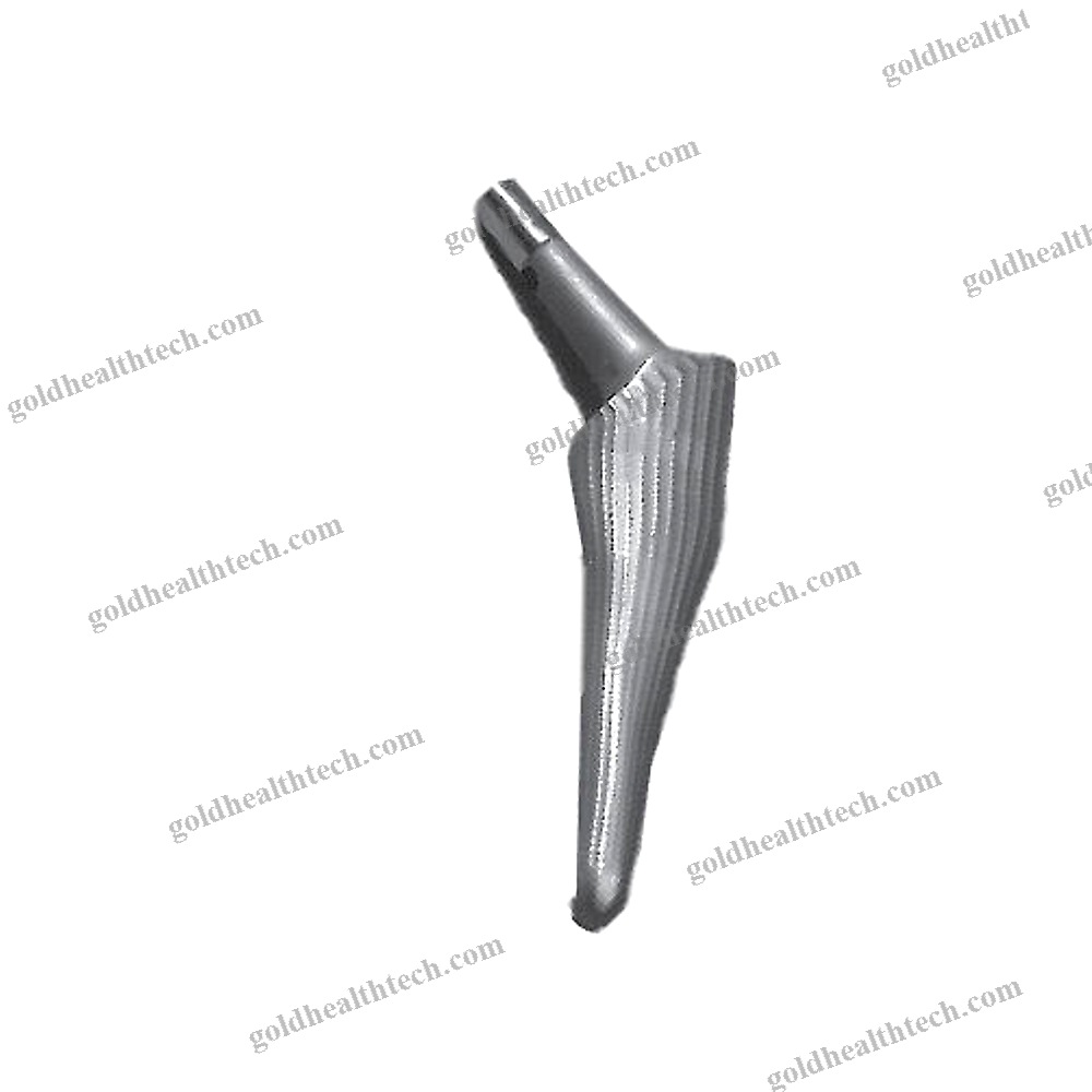 Primary Hip Prosthesis