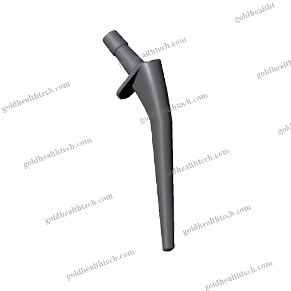 Primary Hip Prosthesis