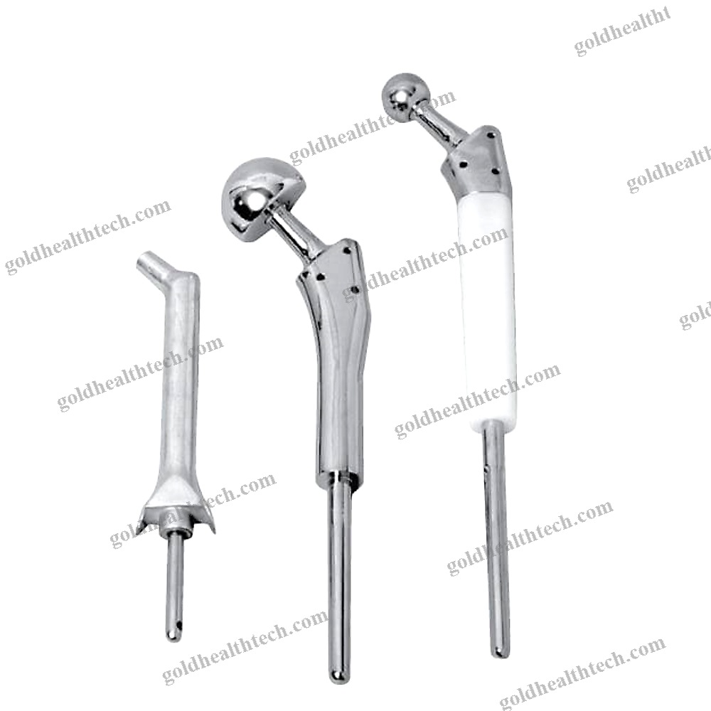 Primary Hip Prosthesis