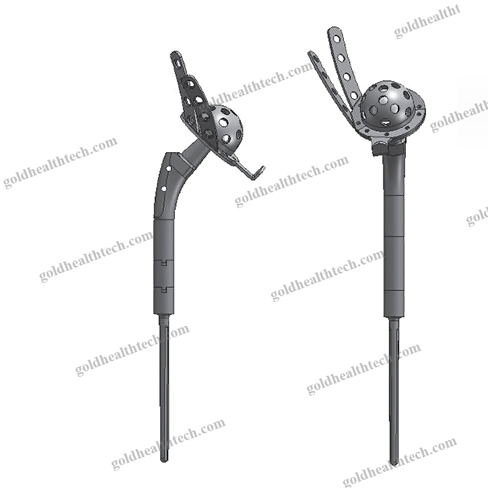 Primary Hip Prosthesis