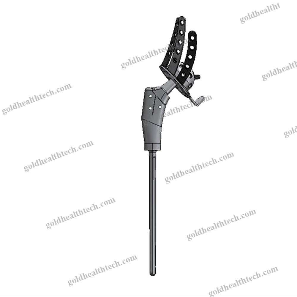 Primary Hip Prosthesis